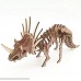 3D Wooden Simulation Animal Dinosaur Assembly Puzzle Model Educational Gift Toy for Kids and Adults #S024  B07HJV9BGP